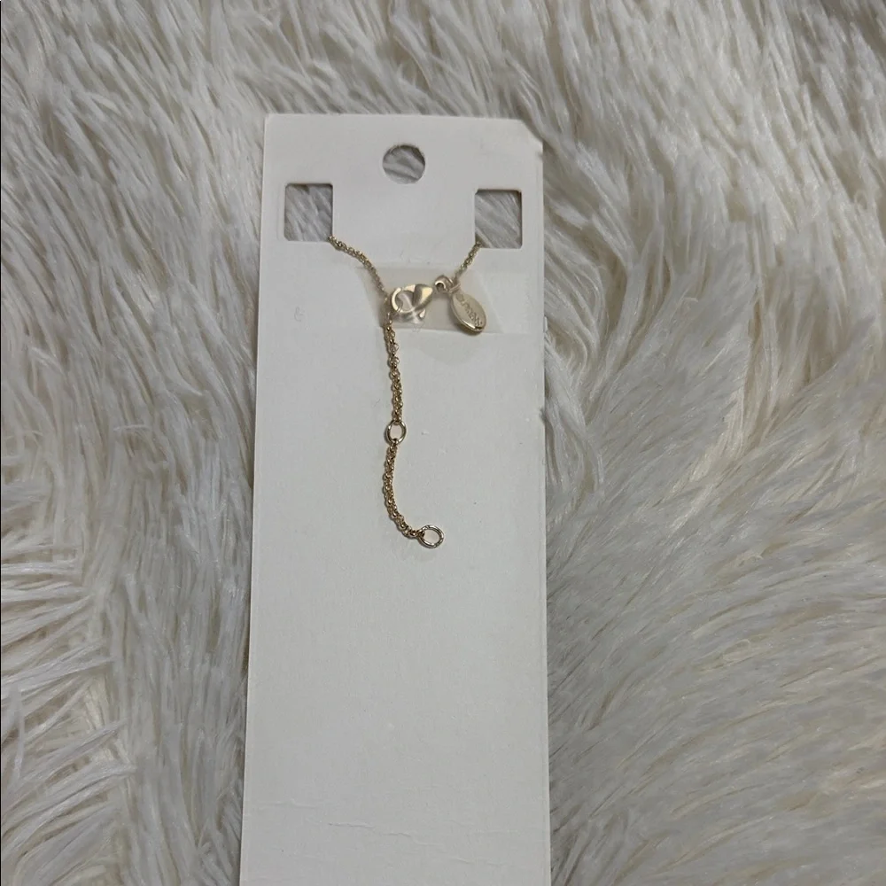 Express Gold Chain Necklace